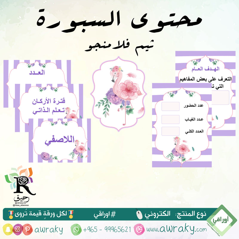 بطاقات السبورة بثيم فلامنجو- رياض أطفال