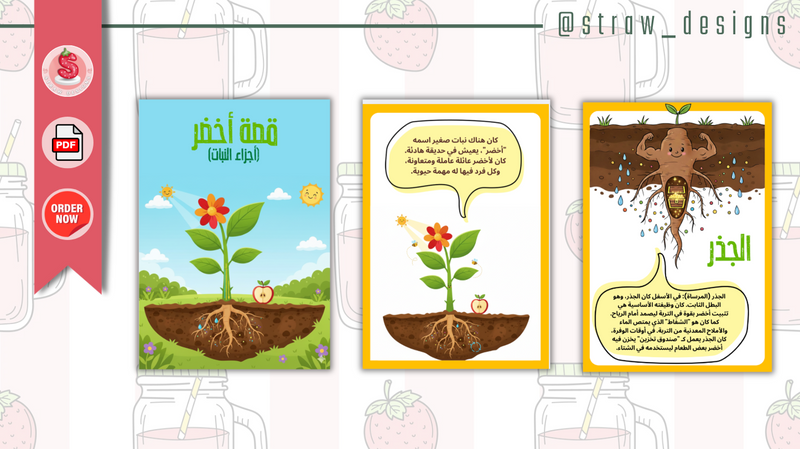 قصة أخضر أجزاء النبات