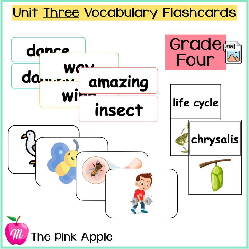 Unit 3 Flashcards - Grade Four - 1