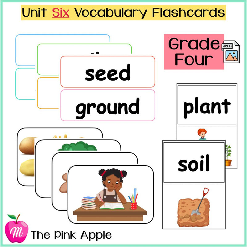 Unit 6 Flashcards - Grade Four - 1